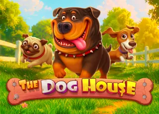 สล็อต 1688 เว็บตรง pg The Dog House ทดลองเล่นฟรี